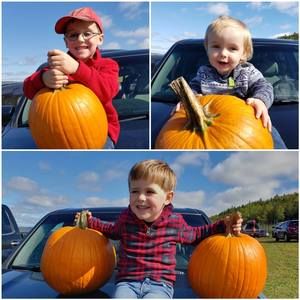 Meet your Posher, Gina